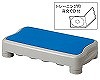 �G�N�T�T�C�Y�X�e�b�v�@�g���[�j���O�p���yCD�t /  / 538-902